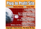 Use our proven system to make money from home. Get $100 just to try it
