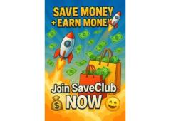 Attention SAHM : Do you want to learn how to make $300 per day while being home with your babies?